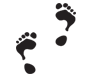 footprint-1 12 Step Program