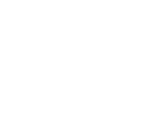icon3 Icon