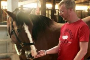man with horse
