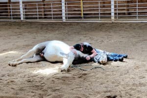 Equine Therapy