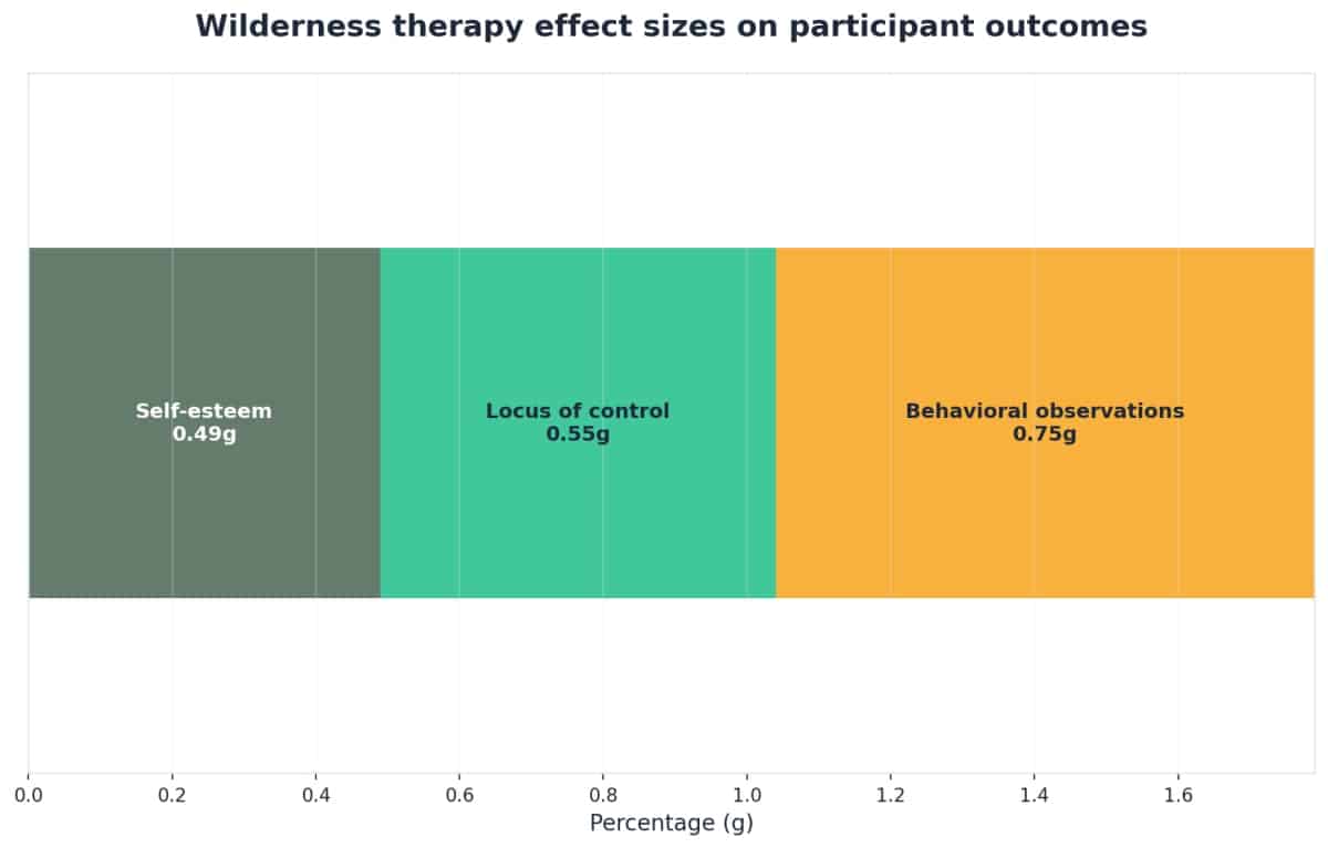 Chart showing Wilderness therapy effect sizes on participant outcomes