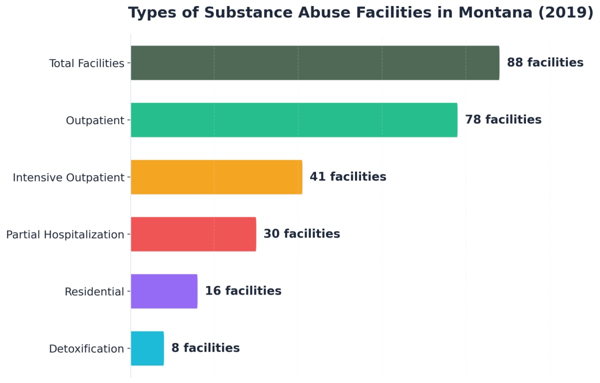 Chart showing Types of Substance Abuse Facilities in Montana (2019)