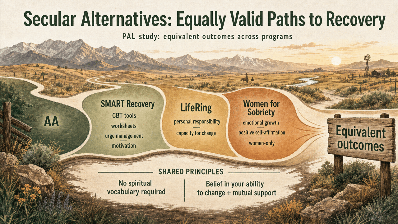Comparison infographic of the four mutual-help groups from the PAL study, supporting the cited finding that outcomes are equivalent across programs
