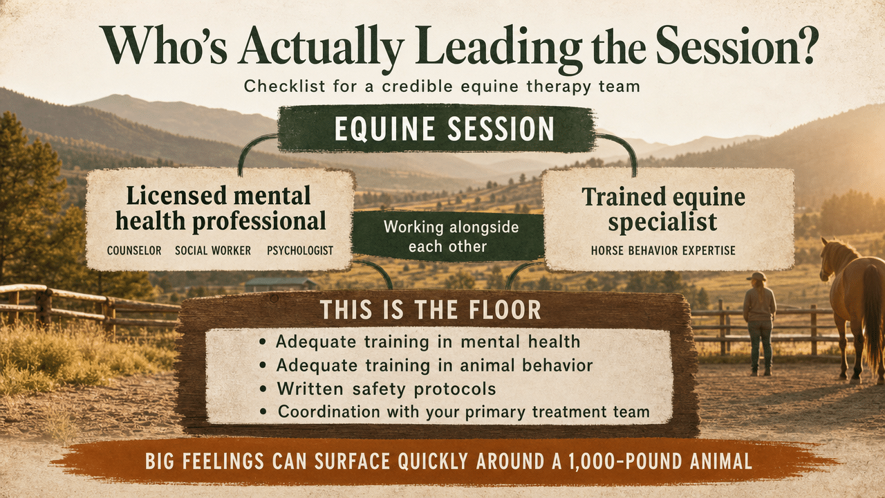 Visualize the checklist of what a credible equine therapy team looks like, directly supporting the section's guidance on staffing and safety standards cited from animal-assisted intervention guidelines